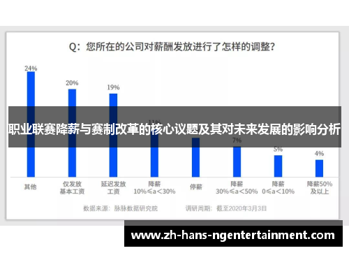 职业联赛降薪与赛制改革的核心议题及其对未来发展的影响分析